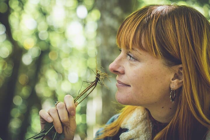 Llangollen Foraging Walk: Learn Wild Plants & Fungi on the Canal photo 2
