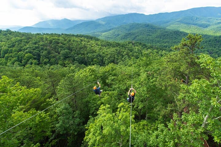 Mountaintop Zipline Tour Gatlinburg — Dual-Line Zips, Sky Bridges & ATV Ascent photo 6