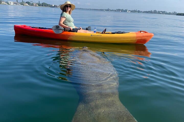 Paddle the Sarasota Mangrove Tunnel: Guided Kayak Adventure on Lido Key photo 1
