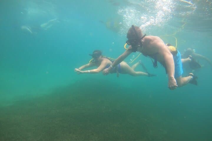 SNUBA Saint Lucia: Shallow-Water Dive Adventure Off Gros Islet photo 5