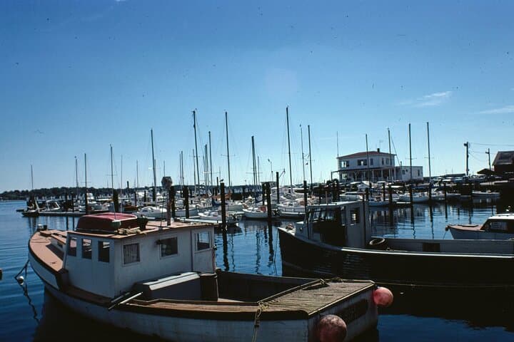 Ocean Drive Historic District Newport: Self-Guided Driving Audio Tour photo 4