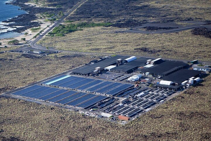 Big Island Abalone Farm Tour: Interactive Abalone Tasting & Farm Visit photo 2