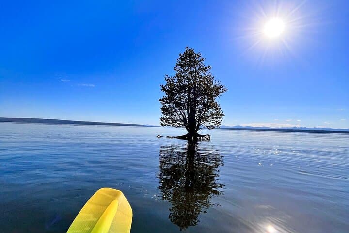 West Thumb Sunrise Kayak: Paddle Yellowstone Lake’s Geothermal Shoreline photo 5