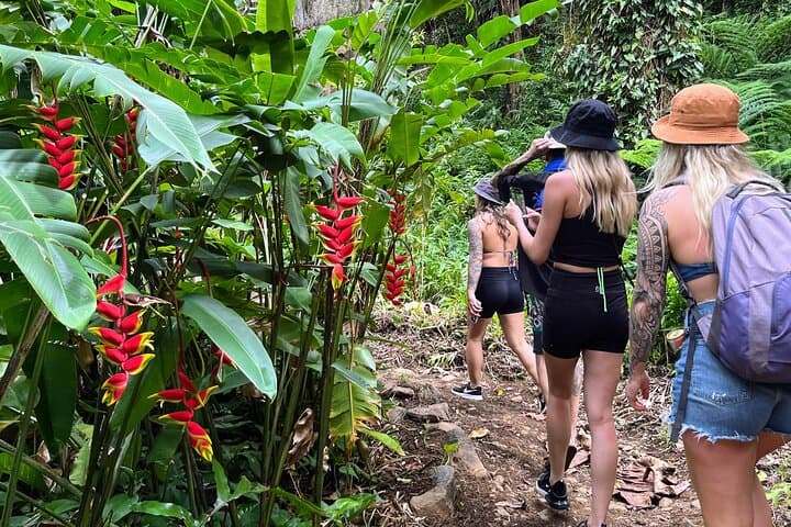 VIP Road to Hana Backstage Pass — Private Maui Adventure from Kahului photo 2