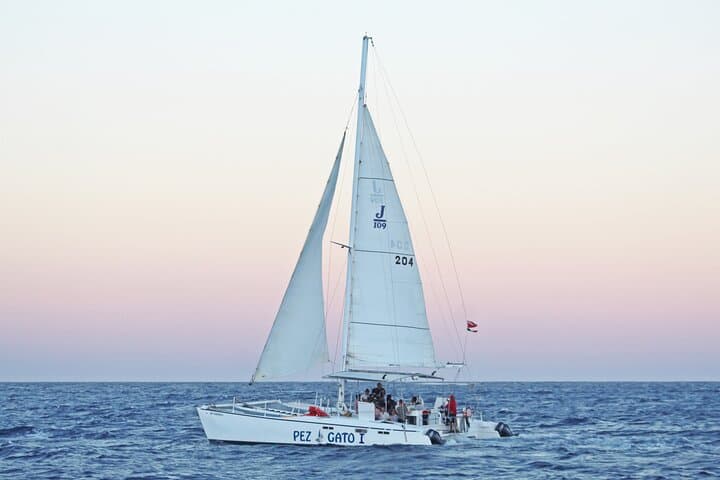 Half-Day Snorkel & Party Catamaran to Santa Maria Bay, Los Cabos photo 5