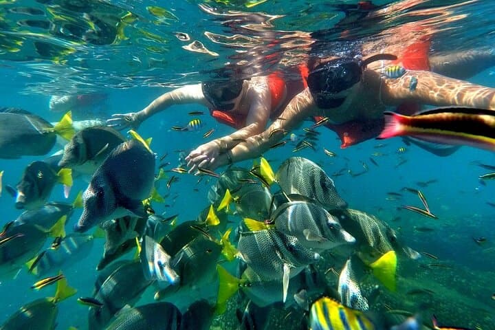 Half-Day Snorkel & Party Catamaran to Santa Maria Bay, Los Cabos