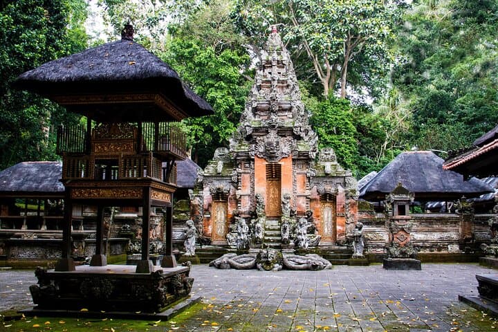 Full-Day Private Ubud Tour: Tegalalang Rice Terraces, Monkey Forest & Tirta Empul photo 6