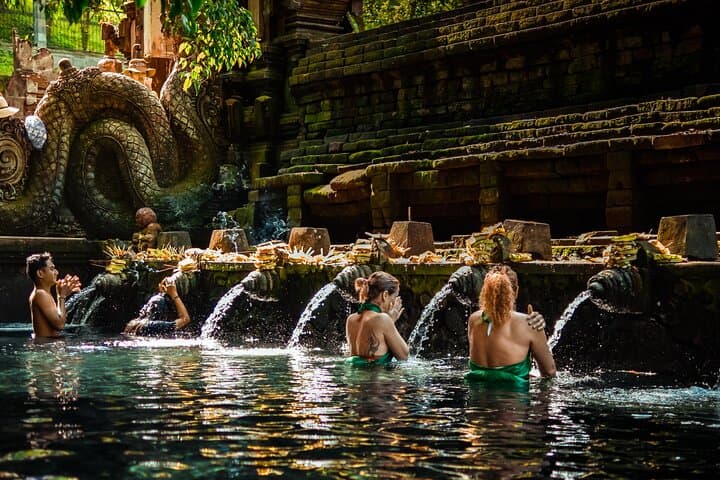 Full-Day Private Ubud Tour: Tegalalang Rice Terraces, Monkey Forest & Tirta Empul photo 2