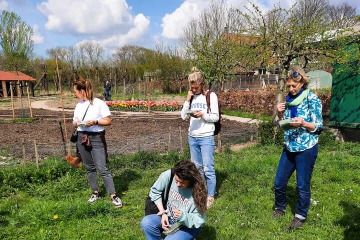 Wild Herb Picking Walk in Rhoonse Grienden: Foraging and Herbal Tea Near Rotterdam