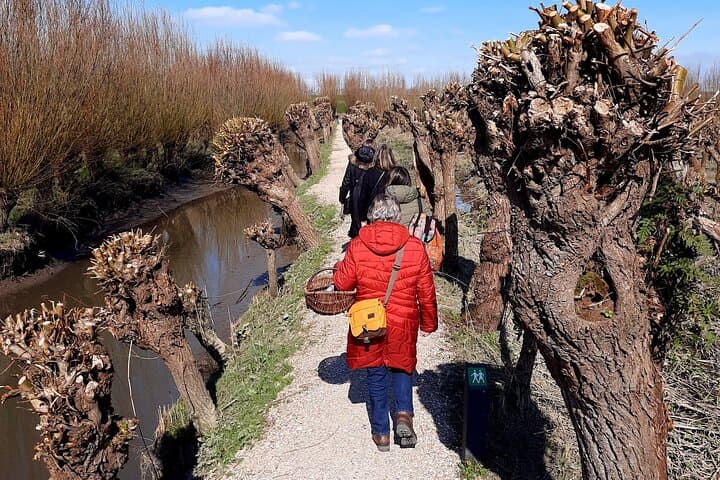 Wild Herb Picking Walk in Rhoonse Grienden: Foraging and Herbal Tea Near Rotterdam photo 4