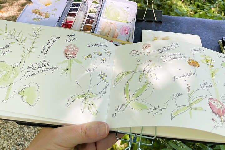 Wild Herb Picking Walk in Rhoonse Grienden: Foraging and Herbal Tea Near Rotterdam photo 6