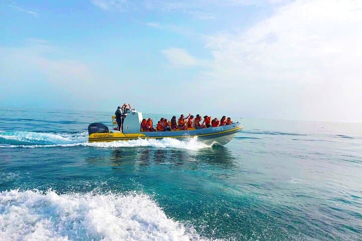 Benagil Caves Morning Boat Cruise from Portimão - Full Circuit Guide photo 3