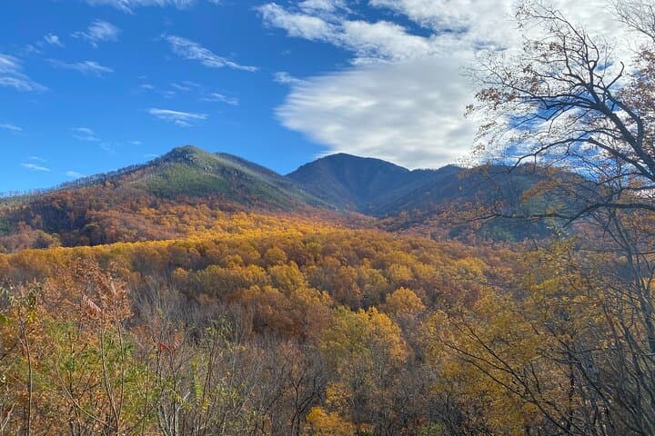 Classic Smokies Driving Tour from Gatlinburg — Newfound Gap, Appalachian Trail & Park History photo 4