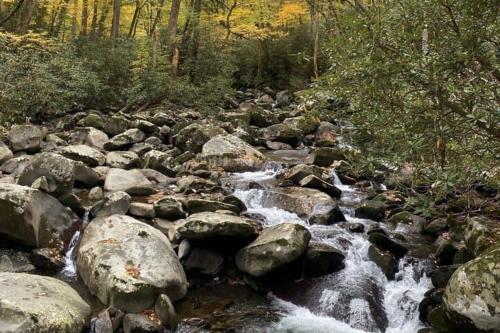 Classic Smokies Driving Tour from Gatlinburg — Newfound Gap, Appalachian Trail & Park History photo 5