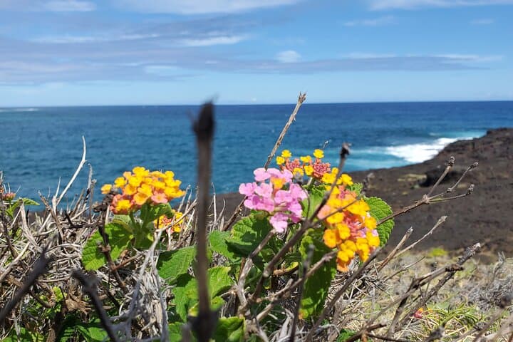 Big Island Southside ATV Tour: South Point Lava Flows, Kiawe Forests & Green Sand photo 5