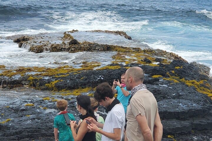 Big Island Southside ATV Tour: South Point Lava Flows, Kiawe Forests & Green Sand