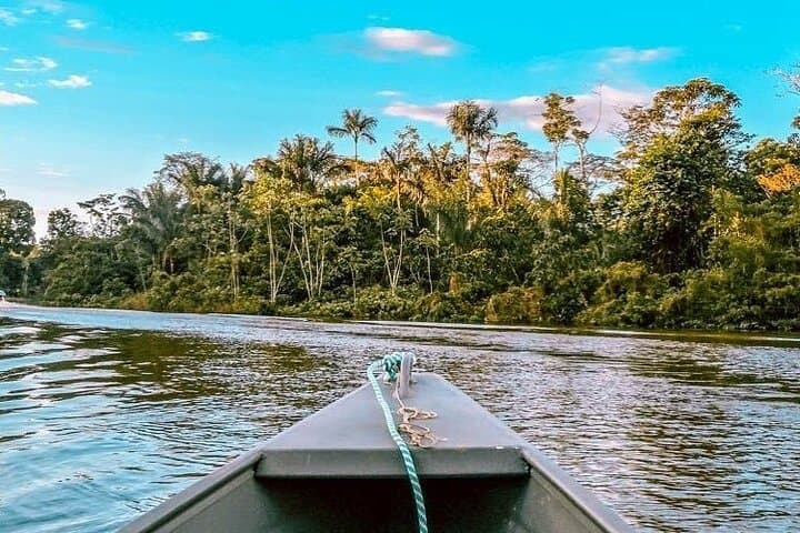 Wild Amazonas Adventure: 4-Day Leticia Jungle Tour photo 3