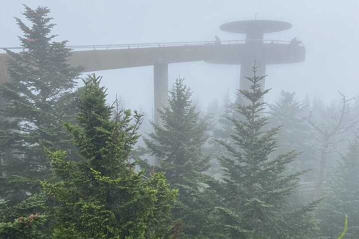High Points Driving Tour: Clingmans Dome & Newfound Gap Scenic Drive in the Great Smoky Mountains