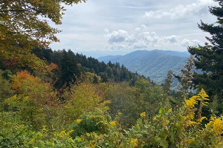 High Points Driving Tour: Clingmans Dome & Newfound Gap Scenic Drive in the Great Smoky Mountains photo 5