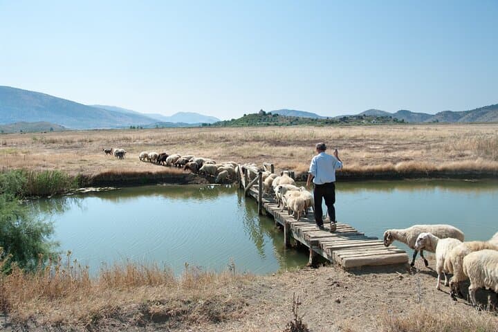 Butrint, Saranda & the Blue Eye: Private Day Trip from Lefkada
