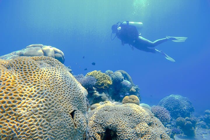 3-Day Open Water Scuba Course in Aqaba — Red Sea PADI Certification photo 6