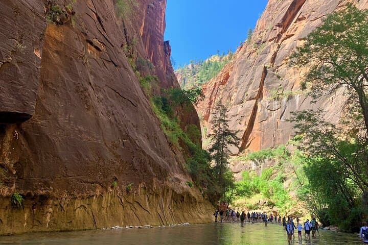 Zion Canyon in a Day: Small-Group Tour from Las Vegas to Zion National Park photo 5