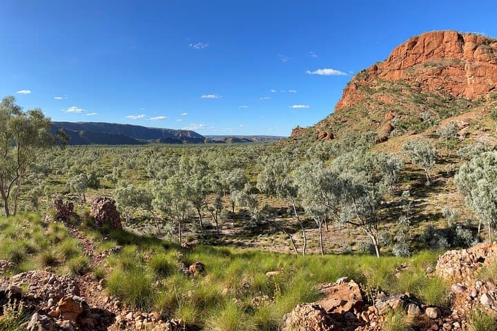 15-Day Kimberley Camping Adventure: Gibb River Road, Mitchell Falls & Bungle Bungle photo 3
