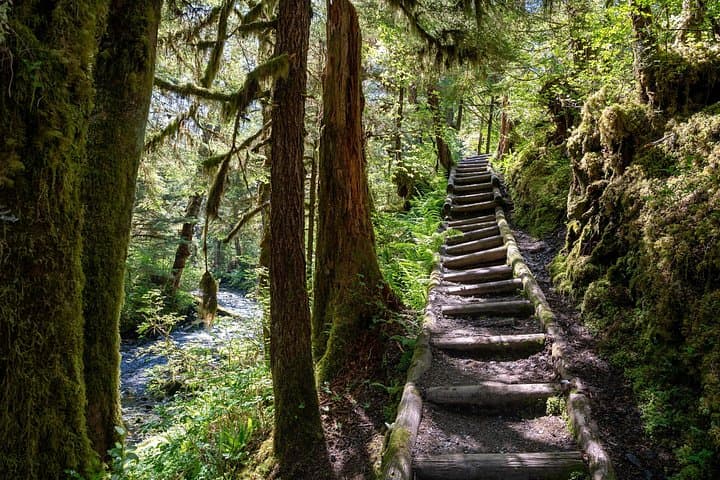 Ketchikan Magical Old-Growth Creek Trek: Guided Tongass Rainforest Hike photo 2