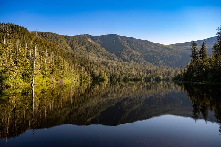 Ketchikan Mountain Lake Trek: Exploring Old-Growth Rainforest to the Avalanche Chute