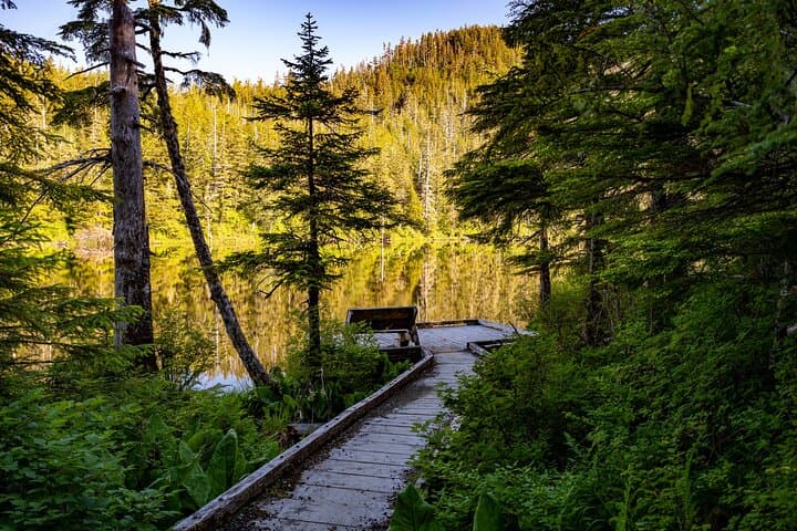 Ketchikan Mountain Lake Trek: Exploring Old-Growth Rainforest to the Avalanche Chute photo 2