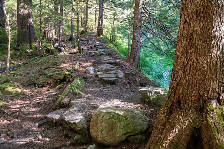 Ketchikan Mountain Lake Trek: Exploring Old-Growth Rainforest to the Avalanche Chute photo 3