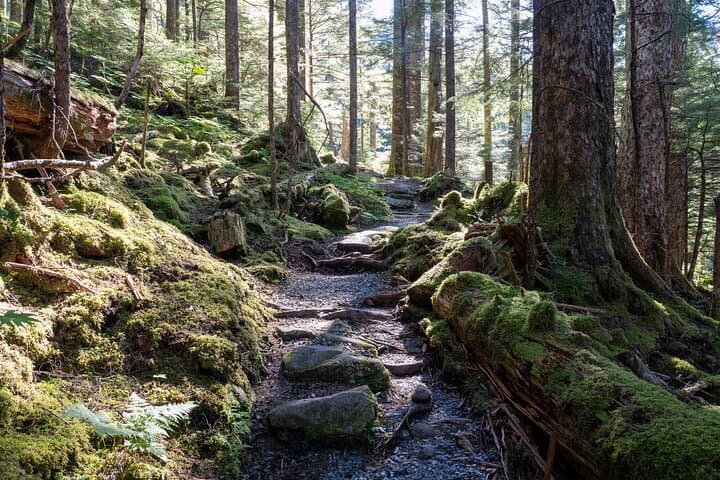 Ketchikan Mountain Lake Trek: Exploring Old-Growth Rainforest to the Avalanche Chute photo 4