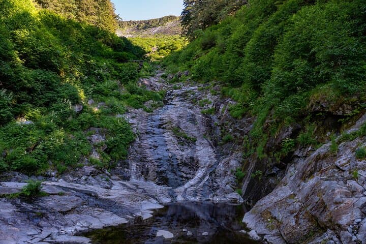 Ketchikan Mountain Lake Trek: Exploring Old-Growth Rainforest to the Avalanche Chute photo 5