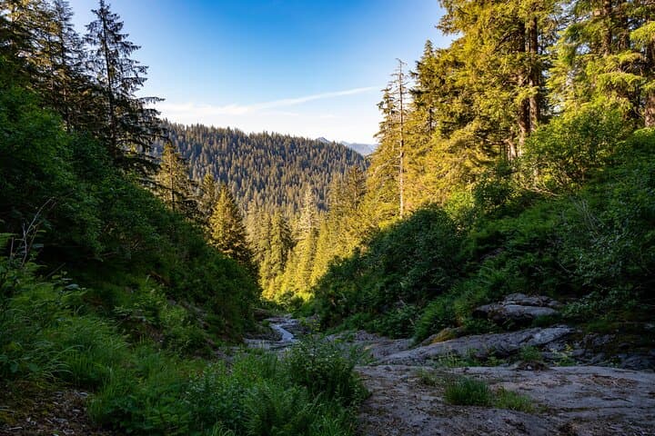 Ketchikan Mountain Lake Trek: Exploring Old-Growth Rainforest to the Avalanche Chute photo 6