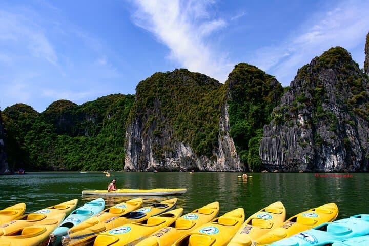 Halong Bay 6-Hour Cruise: Sung Sot Cave, Luon Cave & Titop Island Day Trip photo 5