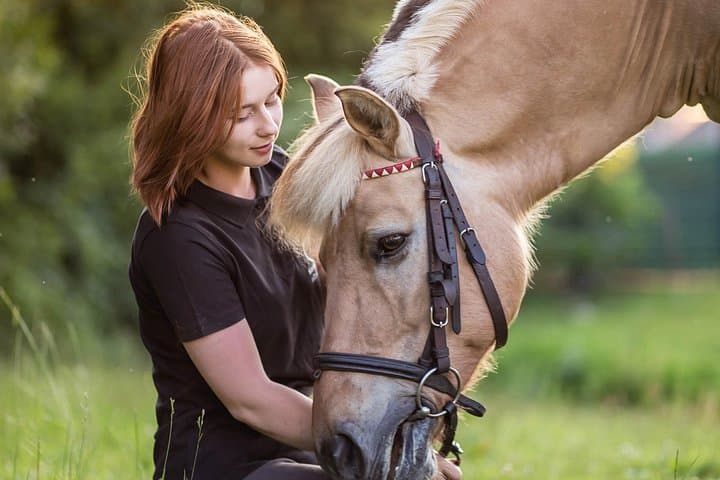 Horse Riding at Jezioro Rożnowskie: Half‑Day Private Tour from Kraków