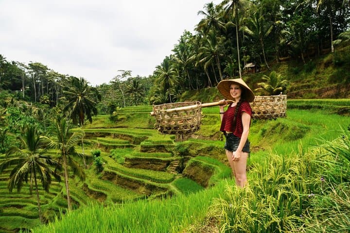 Best of Ubud One-Day Private Tour: Monkey Forest, Rice Terrace & Waterfall