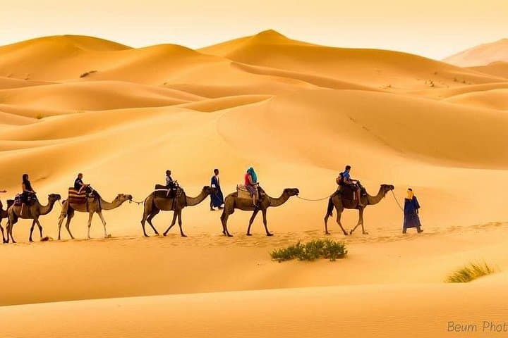 Overnight Camel Trek to Erg Chebbi: Merzouga Desert Camp Experience photo 5