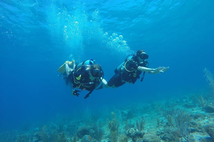 Half-Day Certified Dive Tour in San Andrés Island — Two-Tank Scuba Adventure