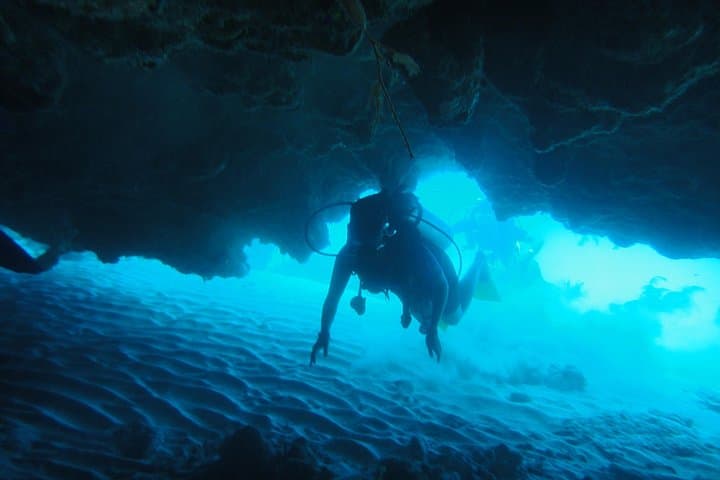 Half-Day Certified Dive Tour in San Andrés Island — Two-Tank Scuba Adventure photo 2