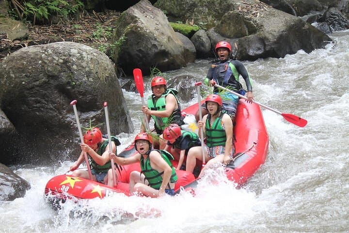 Ayung River Rafting and Ubud Combination Tour: Whitewater, Waterfall & Cultural Stops