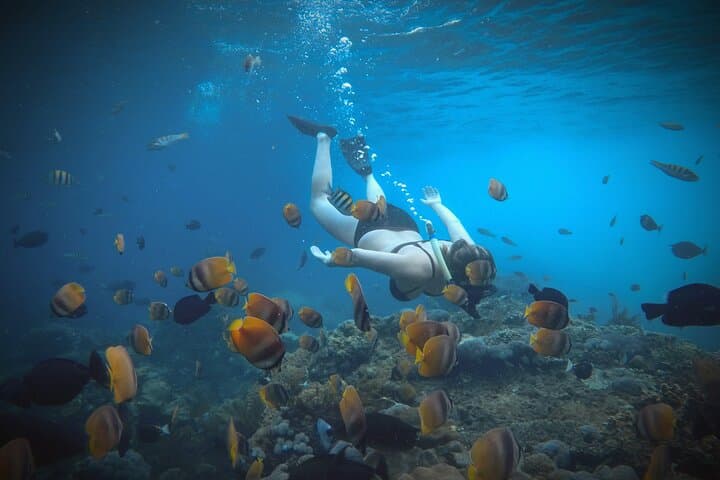 Nusa Penida Snorkel Day Trip — Manta Rays, Kelingking & Tembeling Pool photo 5