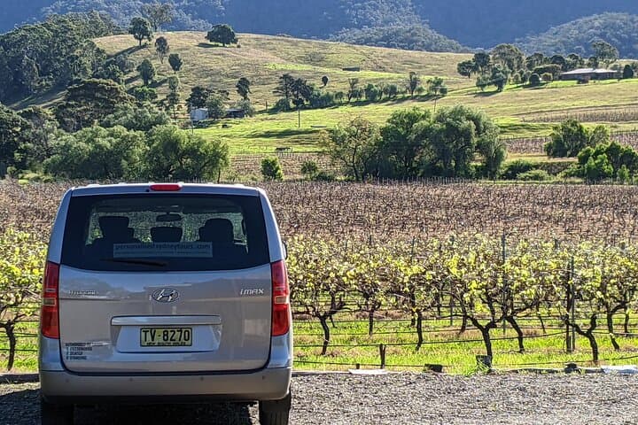 Hunter Valley Wine & Cheese Tour — Tastings in Pokolbin, Lovedale, Broke & Wollombi photo 6