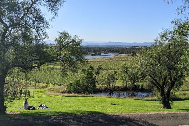 Hunter Valley Wine & Cheese Tour — Tastings in Pokolbin, Lovedale, Broke & Wollombi photo 5