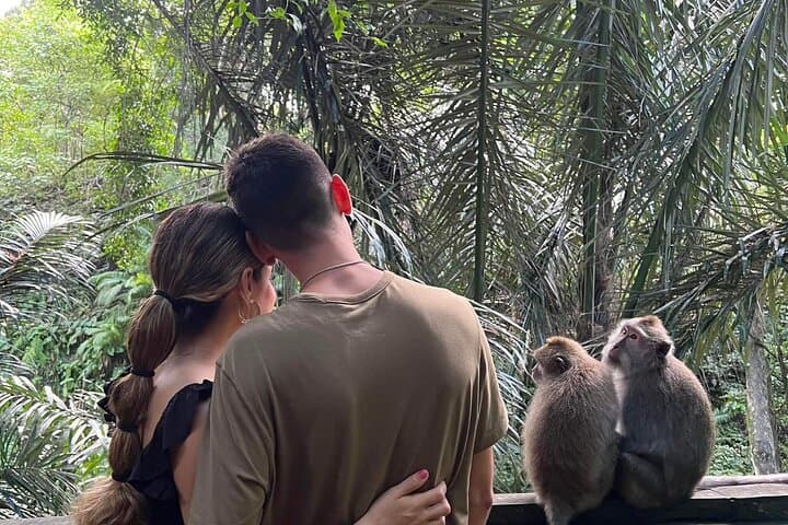 Private Bali Day Tour: Ubud Monkey Forest, Rice Terraces & Lake Temple photo 2