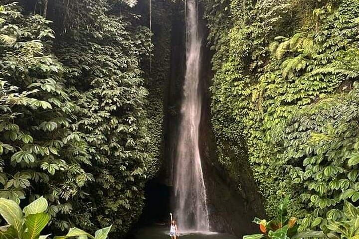 Private Bali Day Tour: Ubud Monkey Forest, Rice Terraces & Lake Temple photo 4