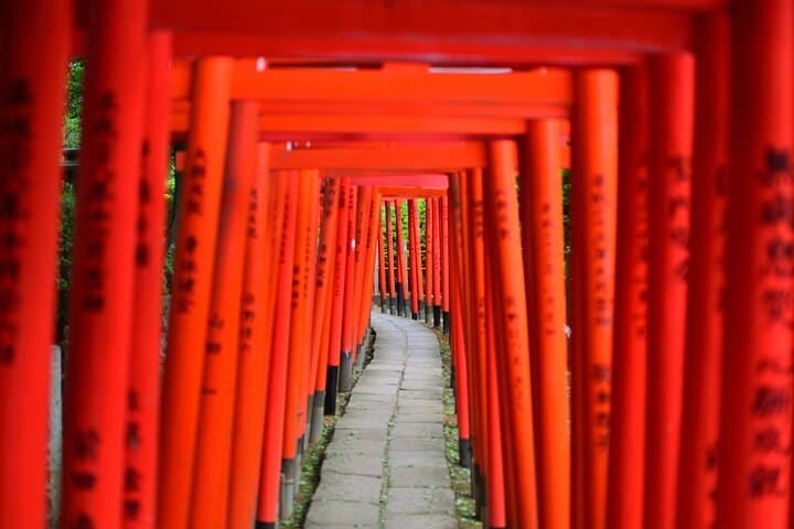 Tokyo Private Walking Tour: Personalized Half- or Full-Day Guided Walk through Ginza, Asakusa & Shibuya photo 2
