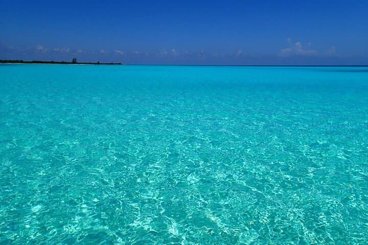 El Cielo Cozumel Snorkeling Tour: Palancar, Colombia & El Cielo Sandbar (All-Inclusive)