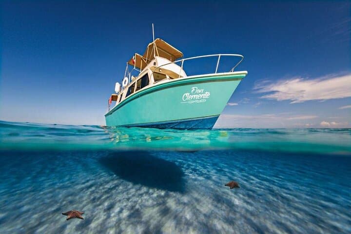 El Cielo Cozumel Snorkeling Tour: Palancar, Colombia & El Cielo Sandbar (All-Inclusive) photo 3