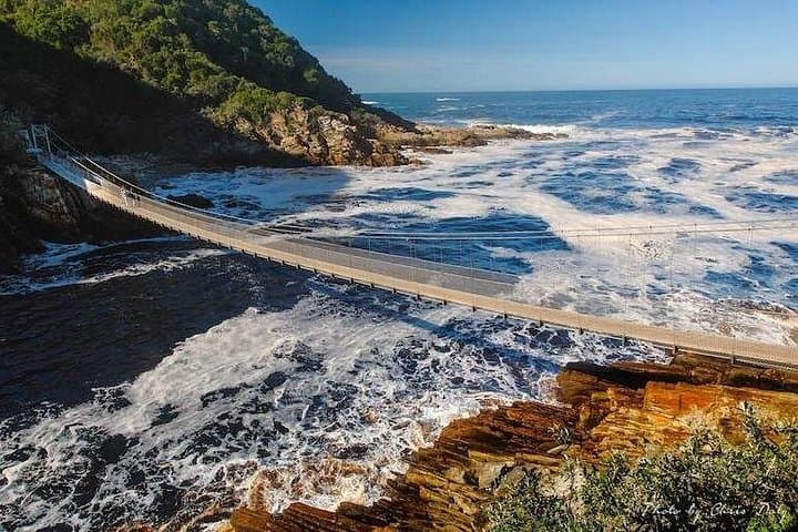 5-Day Eastern Cape Adventure: Addo Safari, Tsitsikamma & St Francis Bay photo 4